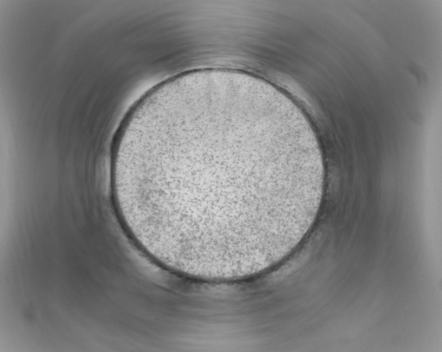 X0000110731079200907241223