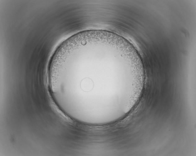 X0000110731080200907241223