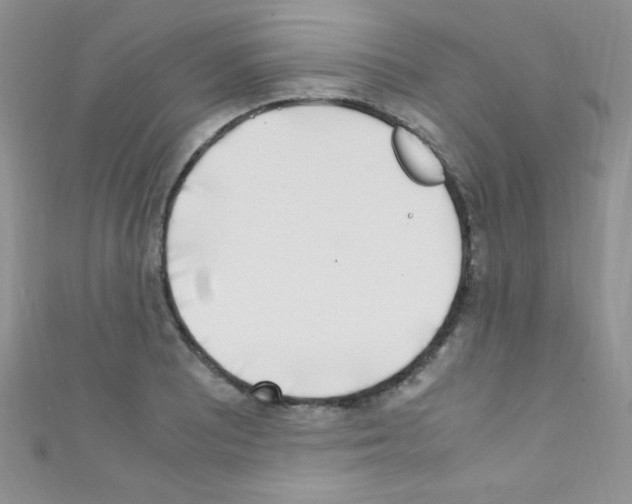 X0000110731081200907241223