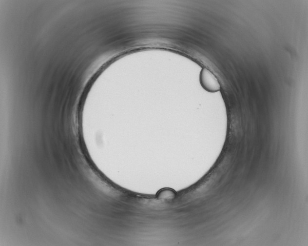 X0000110731082200907241223