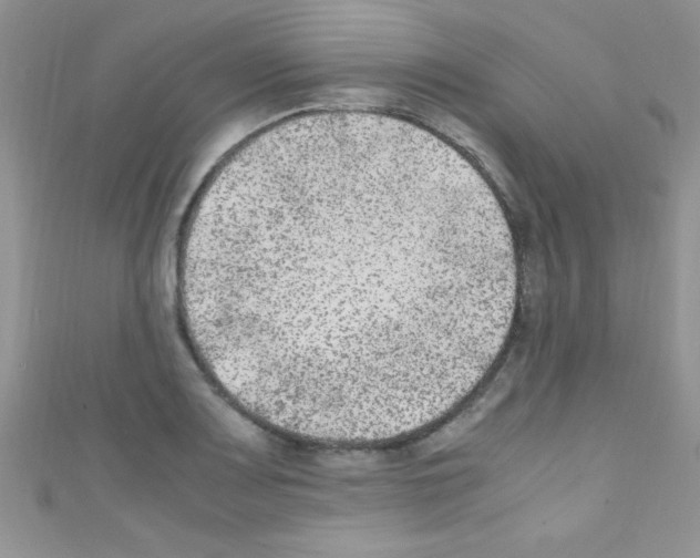 X0000110731083200907241222