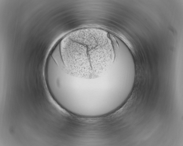 X0000110731084200907241222