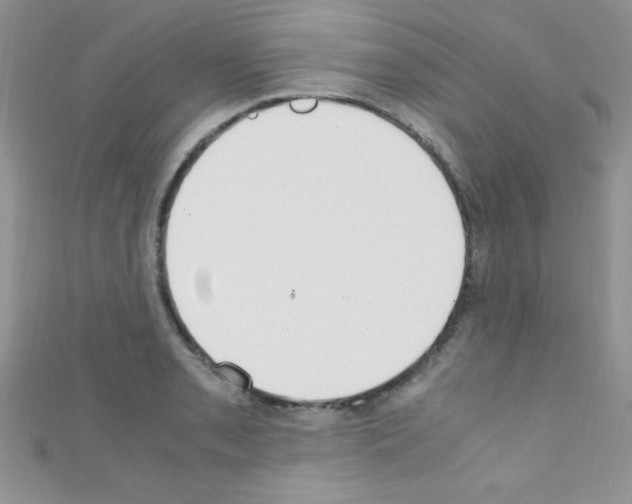 X0000110731085200907241222