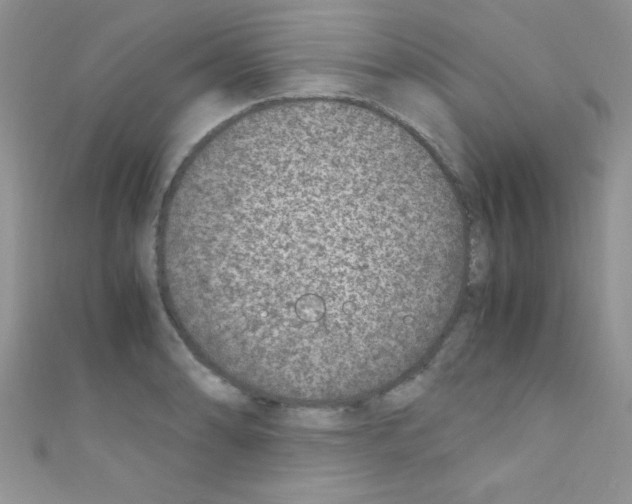 X0000110731086200907241222