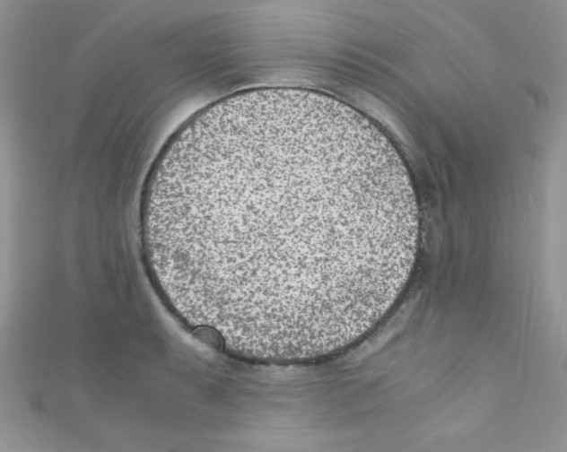 X0000110731087200907241222