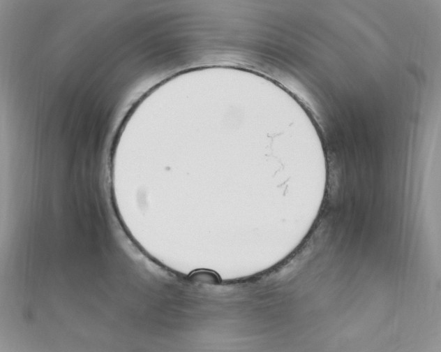 X0000110731088200907241222