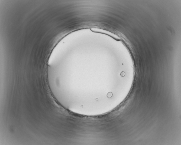 X0000110731089200907241222