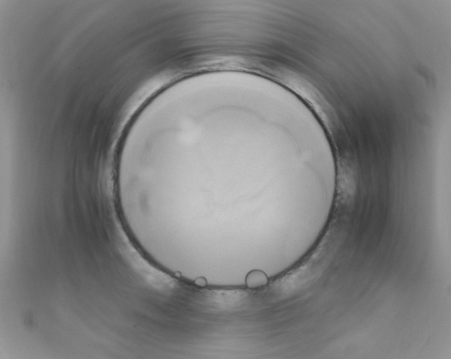 X0000110731090200907241222