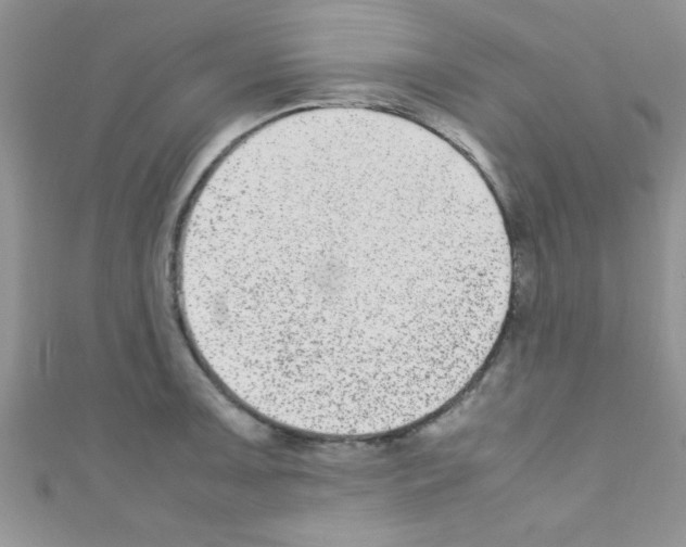 X0000110731091200907241222