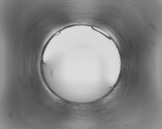 X0000110731093200907241222