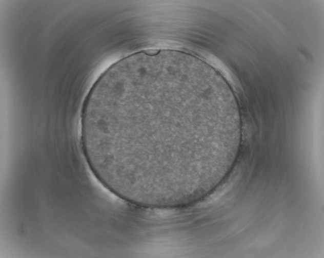 X0000110731095200907241222