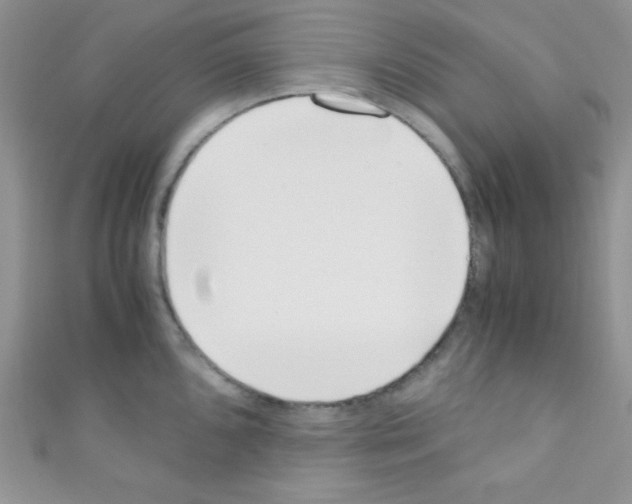 X0000110731096200907241222