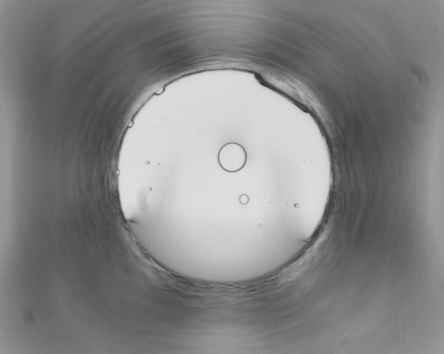 X0000110731097200907241222