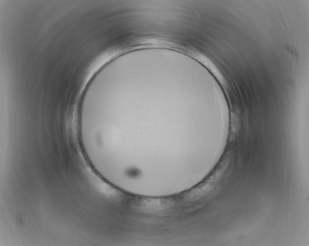 X0000110731098200907241222