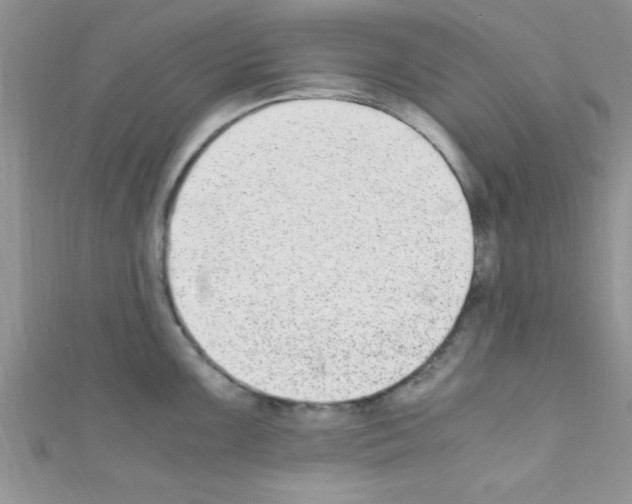 X0000110731099200907241222