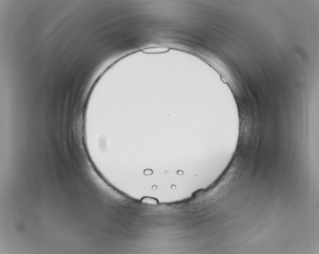 X0000110731100200907241222