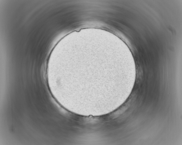 X0000110731103200907241222