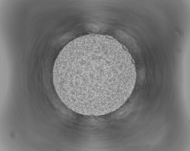 X0000110731105200907241222