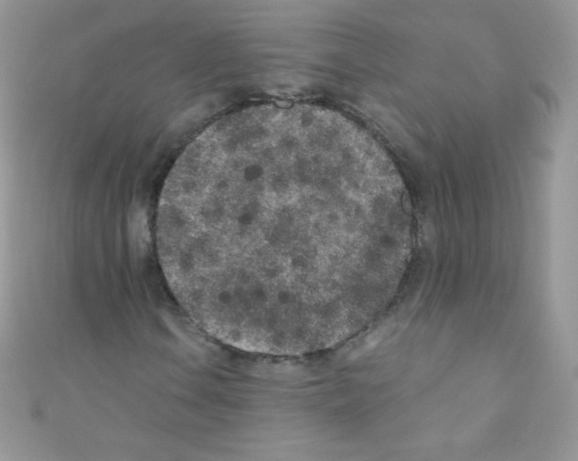 X0000110731106200907241222