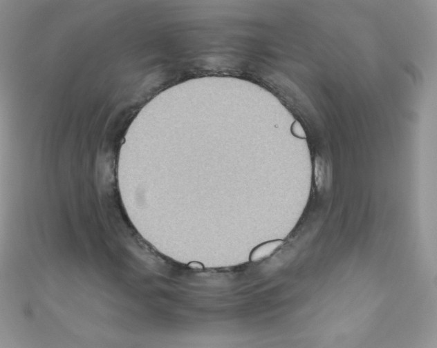 X0000110731107200907241222