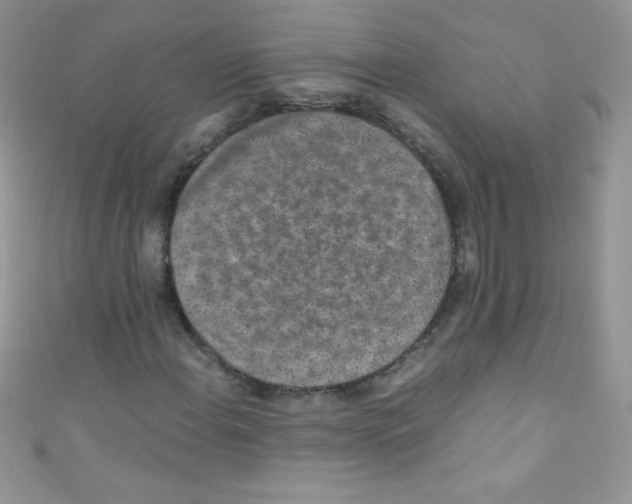 X0000110731108200907241222