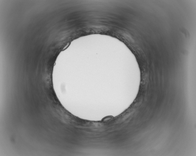 X0000110731109200907241222