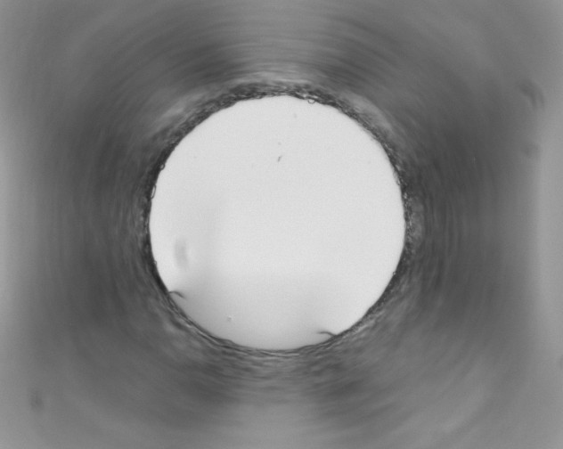 X0000110731110200907241222
