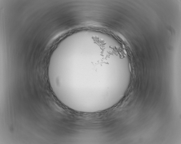 X0000110731112200907241222