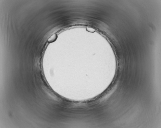 X0000110731113200907241222