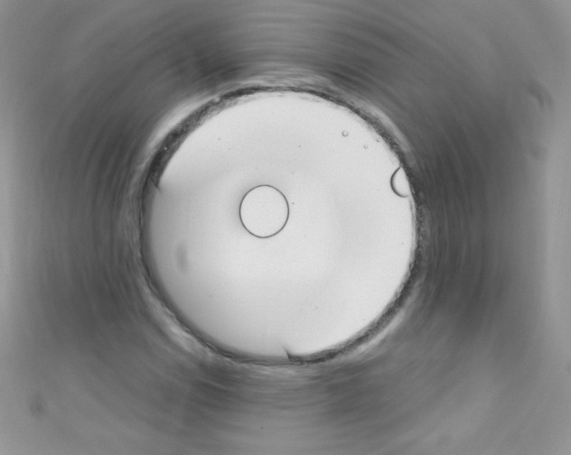 X0000110731114200907241222