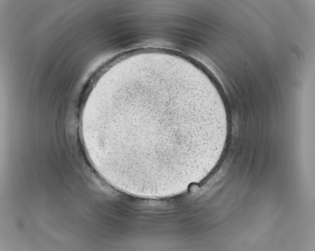 X0000110731115200907241222