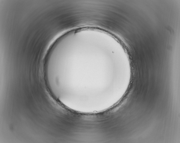 X0000110731118200907241222