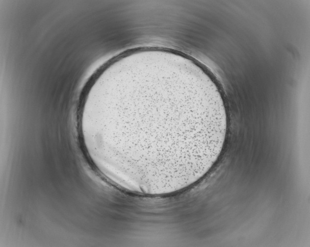 X0000110731120200907241222