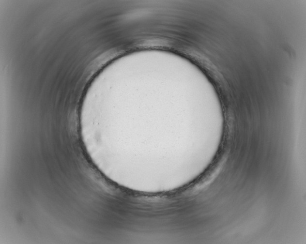 X0000110731121200907241222