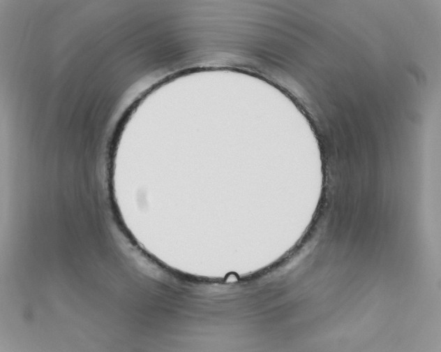 X0000110731122200907241222