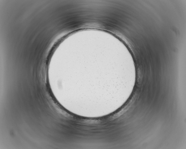 X0000110731123200907241222