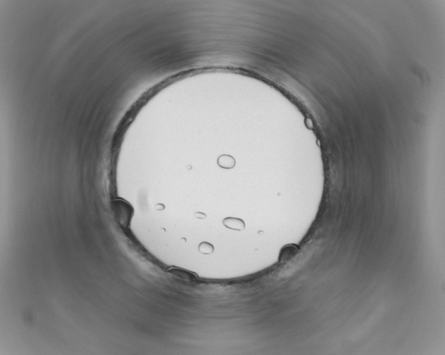 X0000110731124200907241222