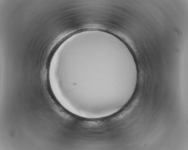 X0000110731125200907241222