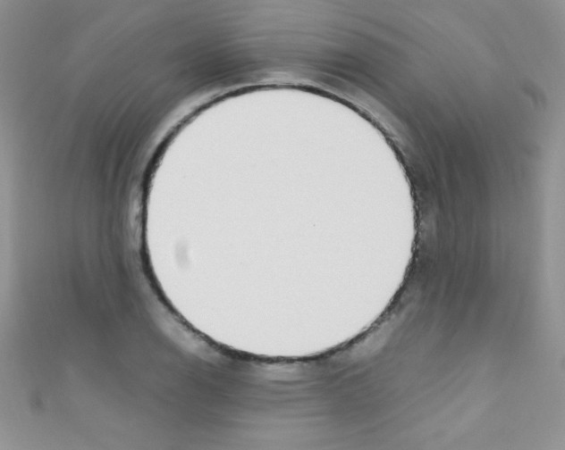 X0000110731126200907241222