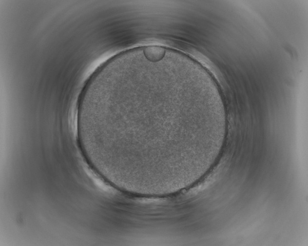 X0000110731127200907241222