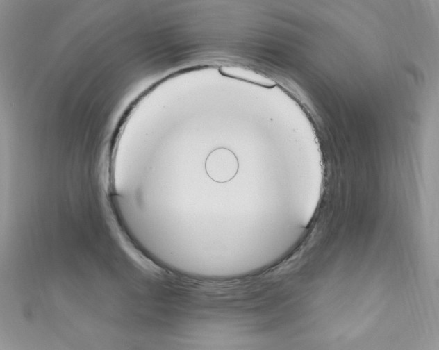 X0000110731128200907241222