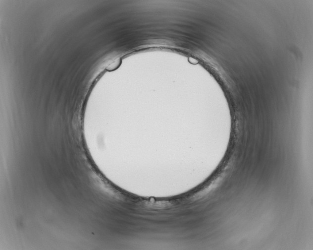 X0000110731129200907241222
