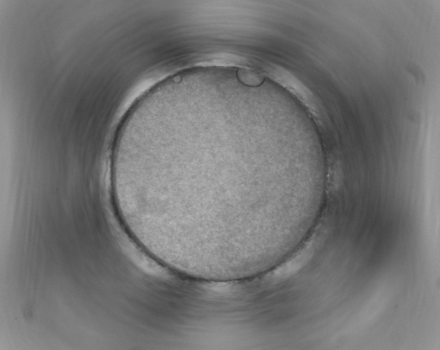 X0000110731130200907241222