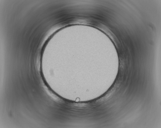 X0000110731131200907241222