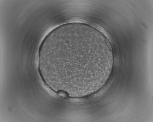 X0000110731132200907241222