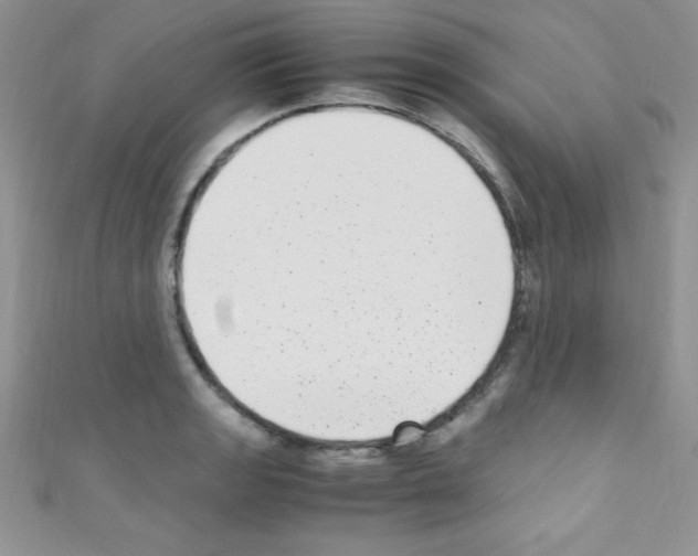 X0000110731133200907241222