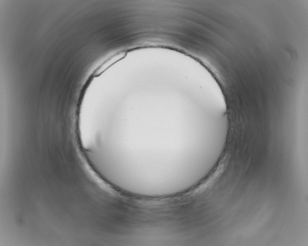 X0000110731134200907241222