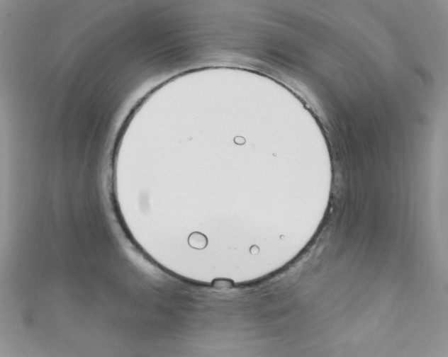 X0000110731136200907241222