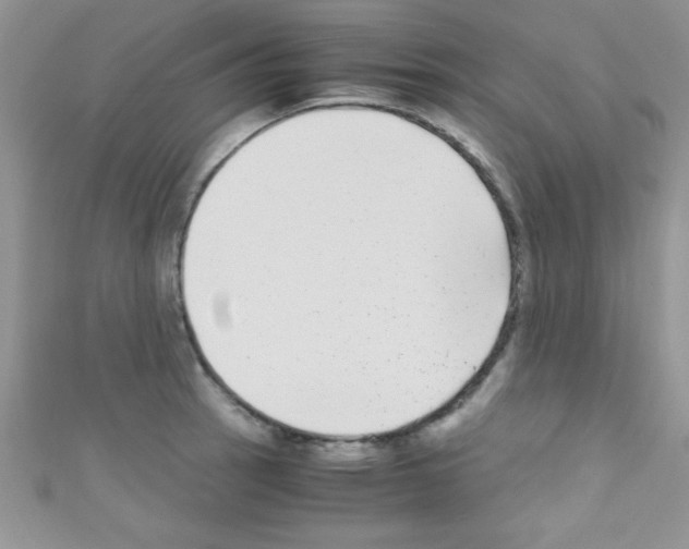 X0000110731137200907241222
