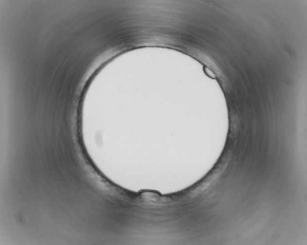 X0000110731138200907241222